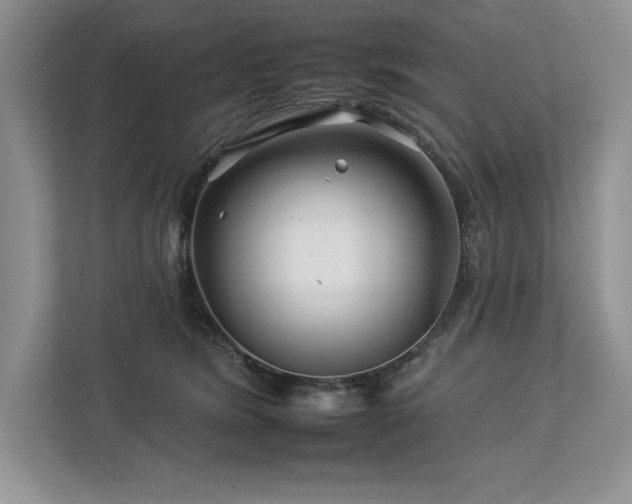 X0000112930420200908241304