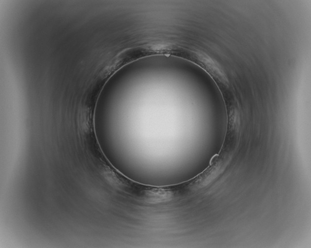 X0000112930421200908241304