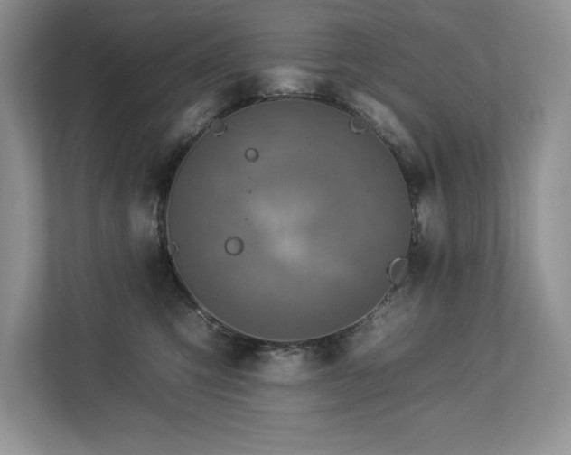 X0000112930423200908241304