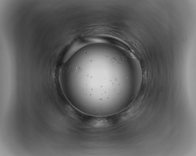 X0000112930424200908241304