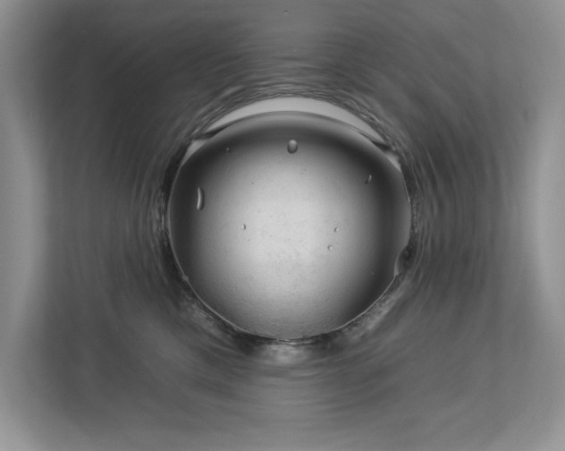 X0000112930425200908241304