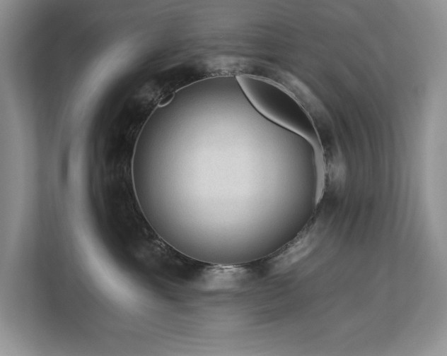 X0000112930429200908241304