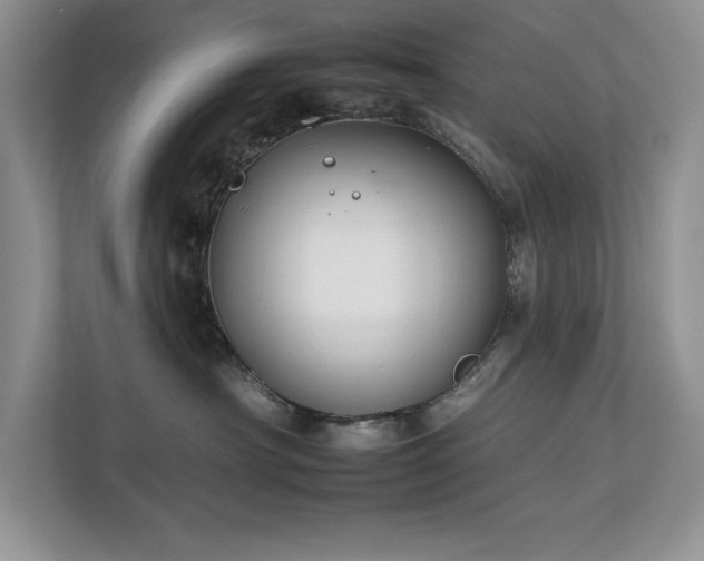 X0000112930430200908241304