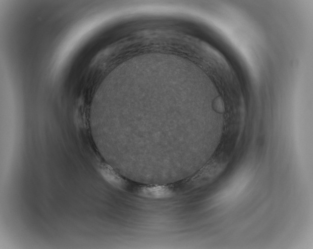 X0000112930431200908241304