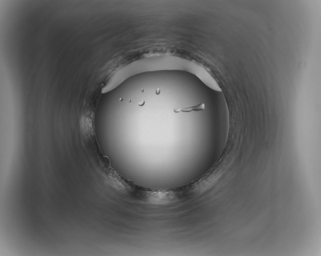 X0000112930432200908241304