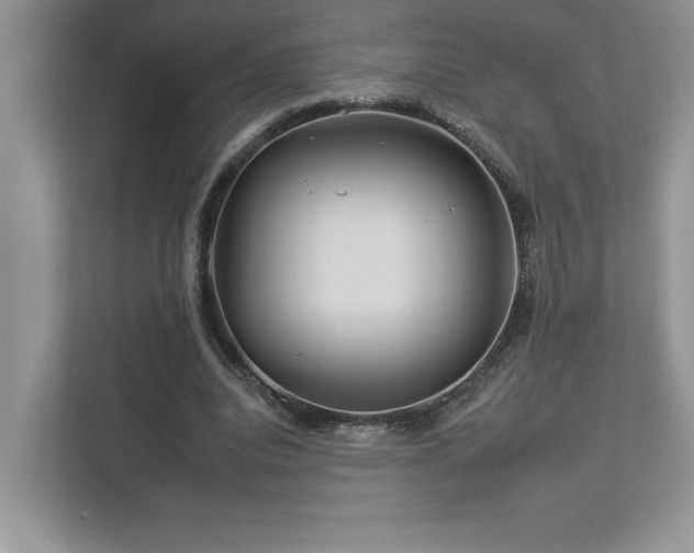 X0000112930440200908241303