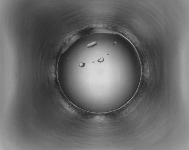 X0000112930441200908241303