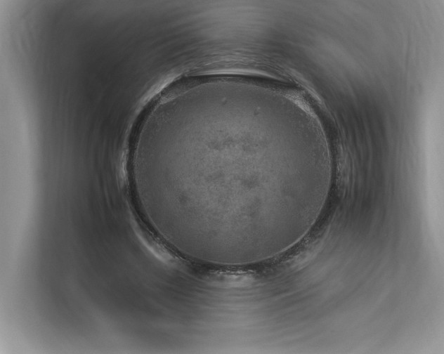 X0000112930443200908241303