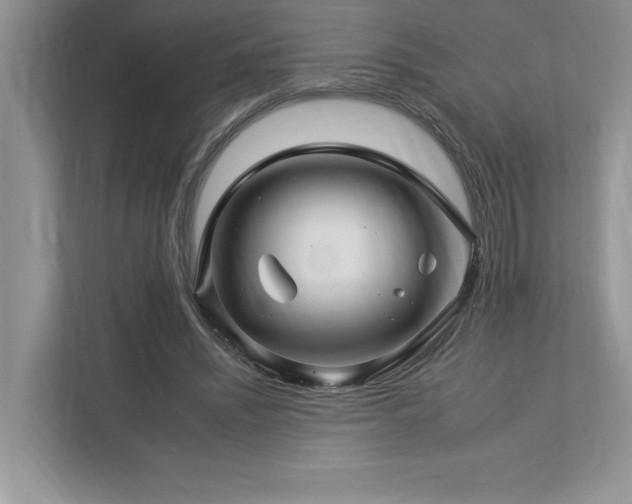 X0000112930444200908241303