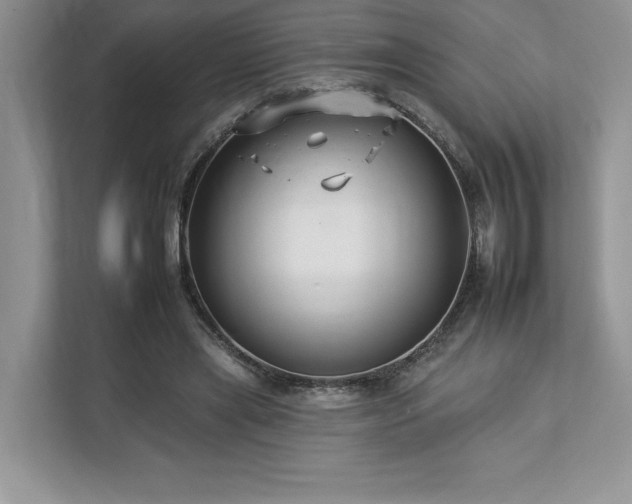 X0000112930445200908241303