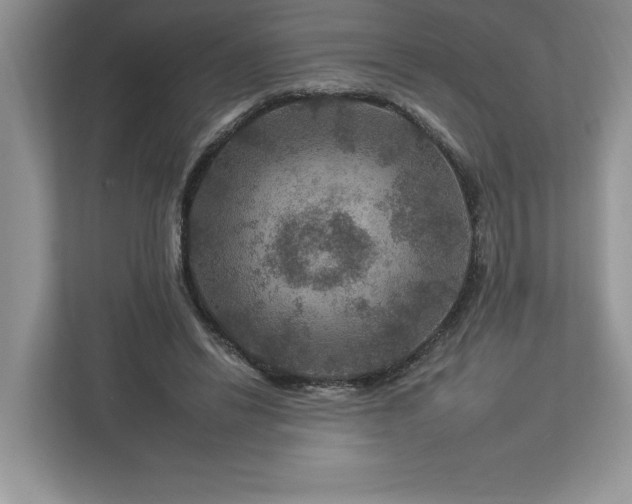 X0000112930446200908241303