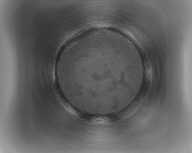 X0000112930447200908241303