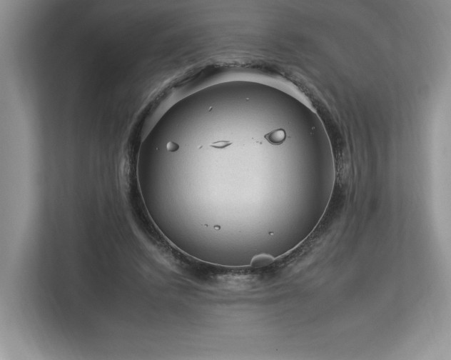 X0000112930448200908241303