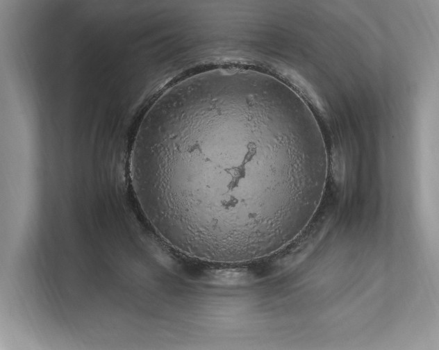 X0000112930449200908241303