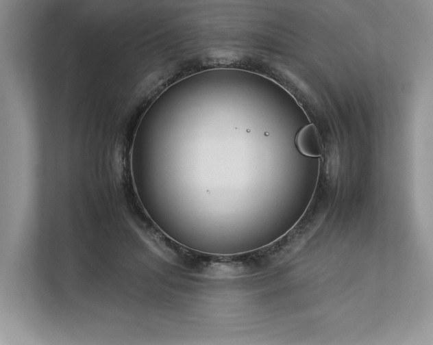 X0000112930455200908241304