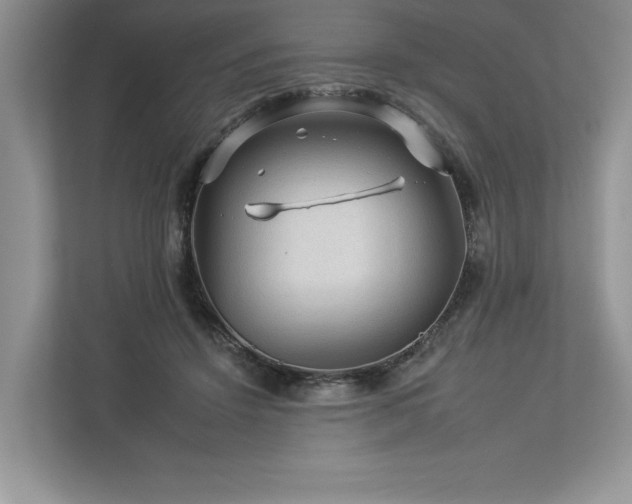 X0000112930456200908241304