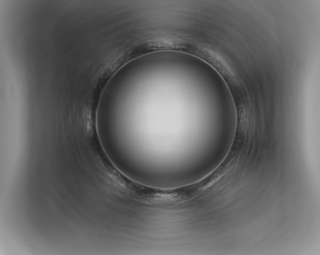 X0000112930457200908241304