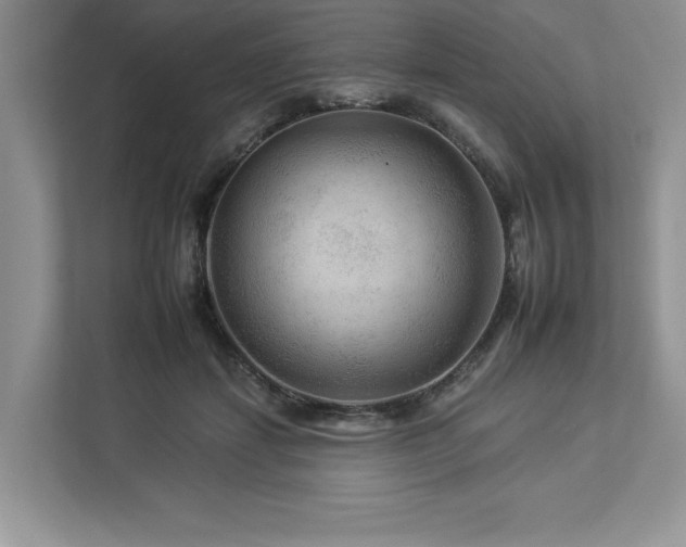 X0000112930459200908241304