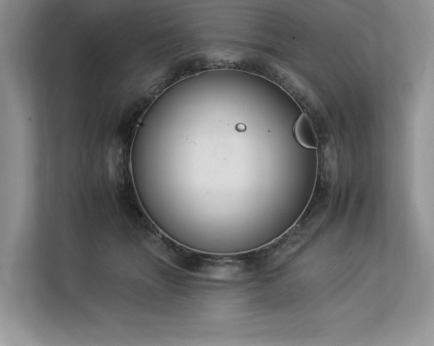 X0000112930463200908241304