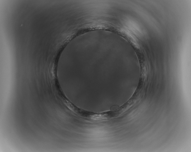 X0000112930465200908241304