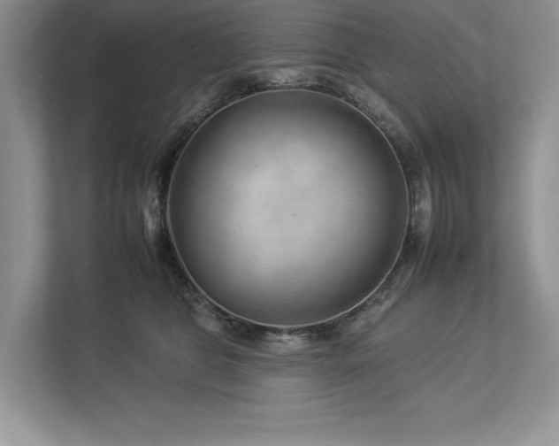 X0000112930469200908241304