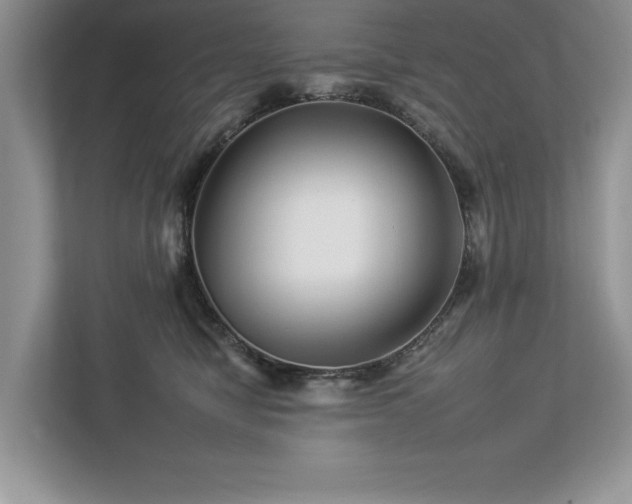 X0000112930470200908241304