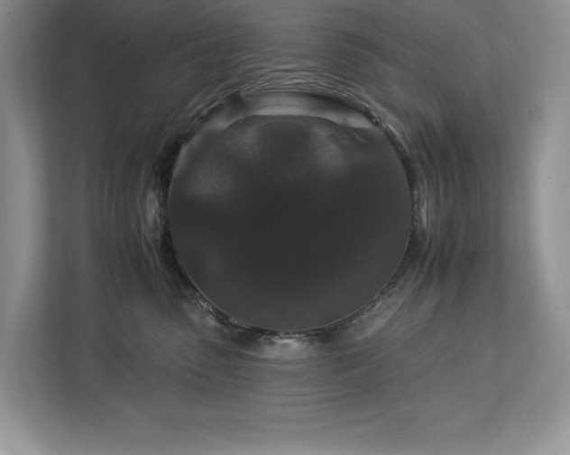 X0000112930475200908241304