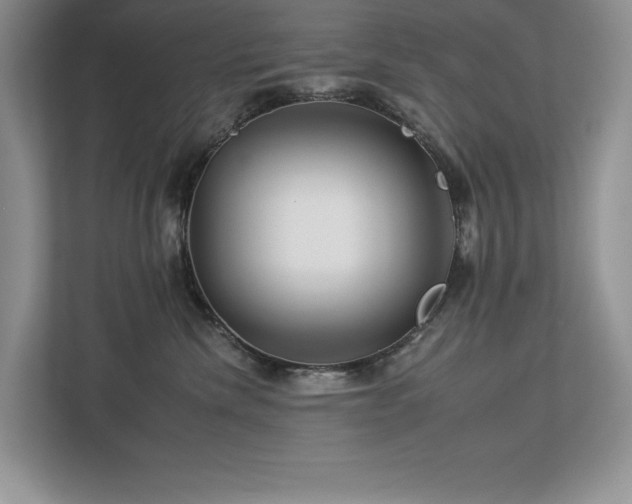 X0000112930476200908241304