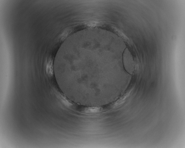 X0000112930479200908241304