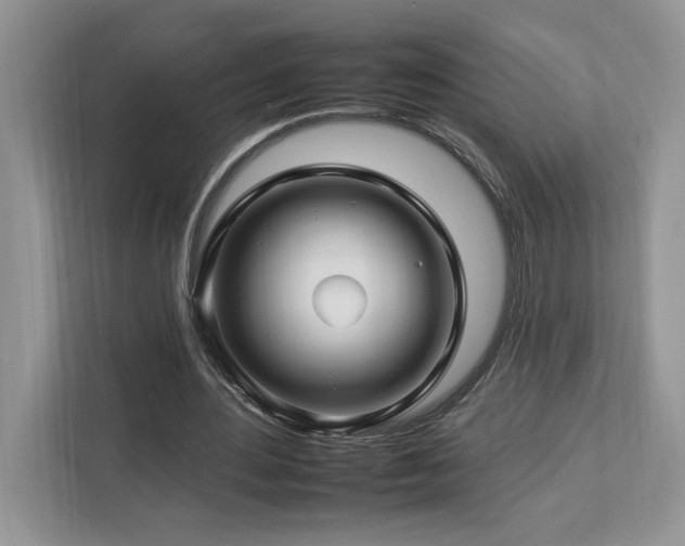 X0000112930484200908241303