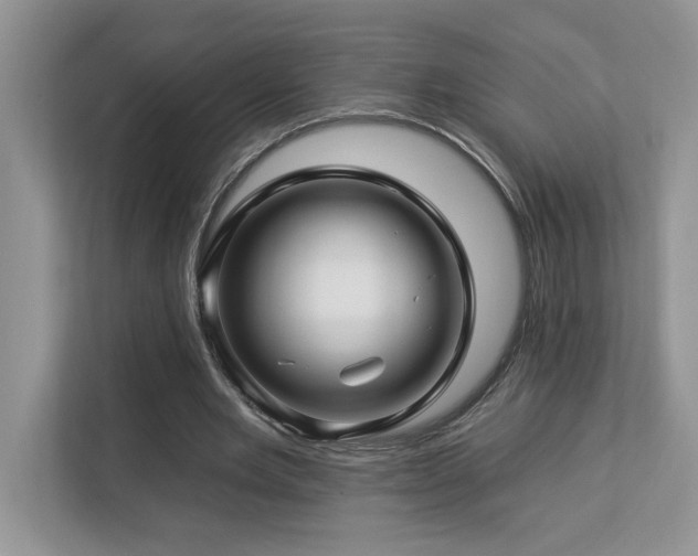 X0000112930485200908241303