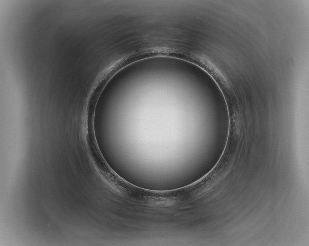 X0000112930486200908241303