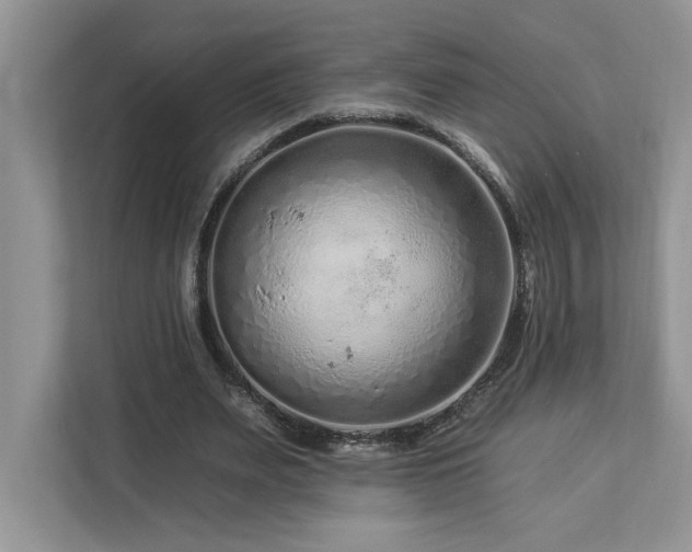 X0000112930487200908241303