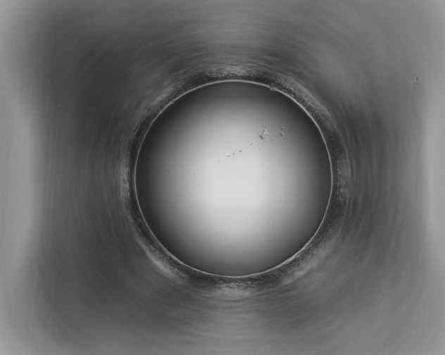 X0000112930489200908241303