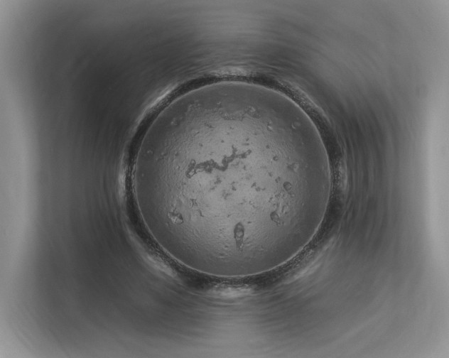 X0000112930491200908241303