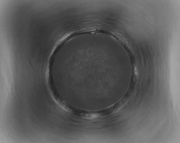 X0000112930492200908241303