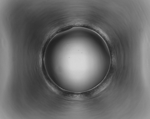 X0000112930493200908241303