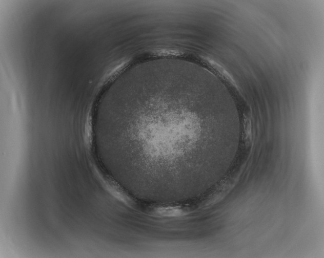 X0000112930494200908241303