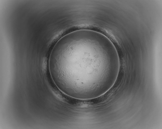 X0000112930495200908241303