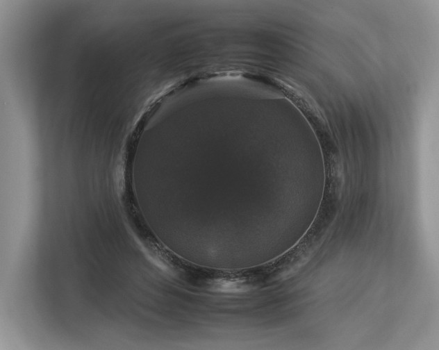 X0000112930496200908241303