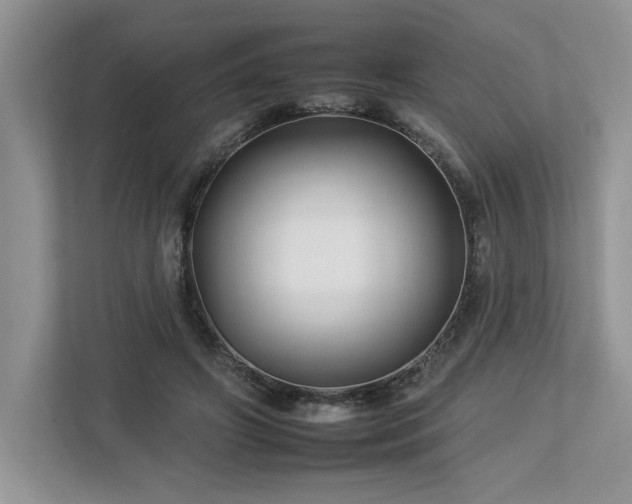 X0000112930498200908241303