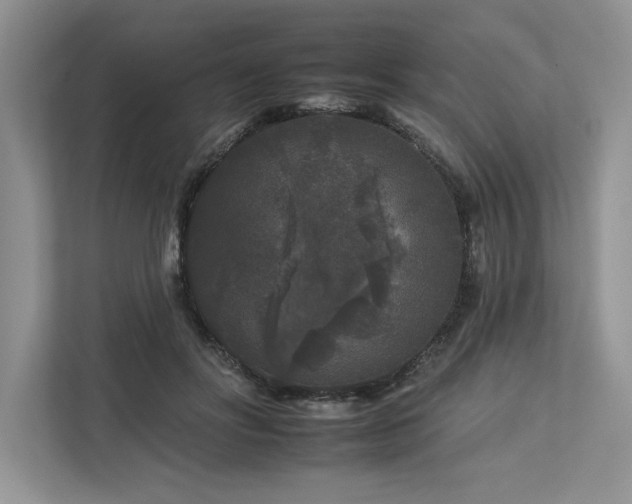 X0000112930502200908241303