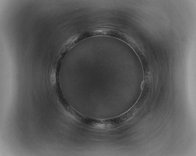 X0000112930504200908241303