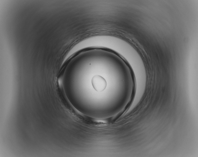 X0000112930505200908241303