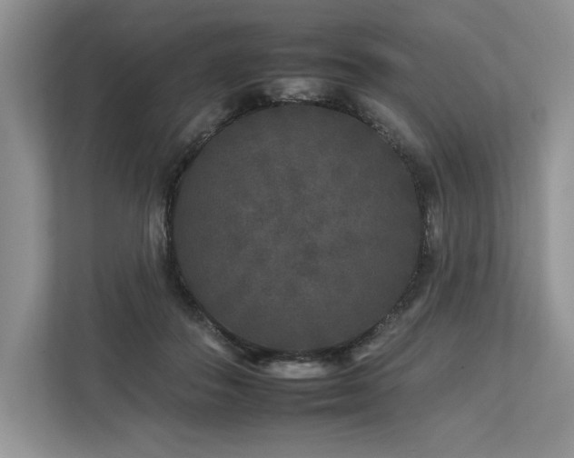 X0000112930506200908241303