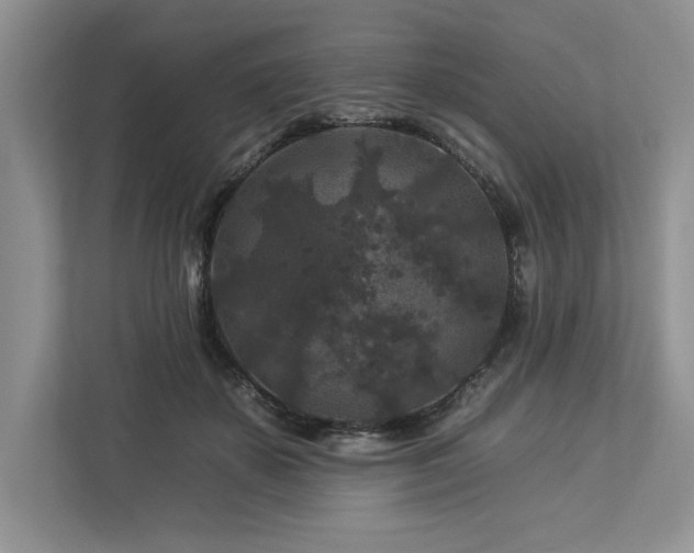 X0000112930507200908241303