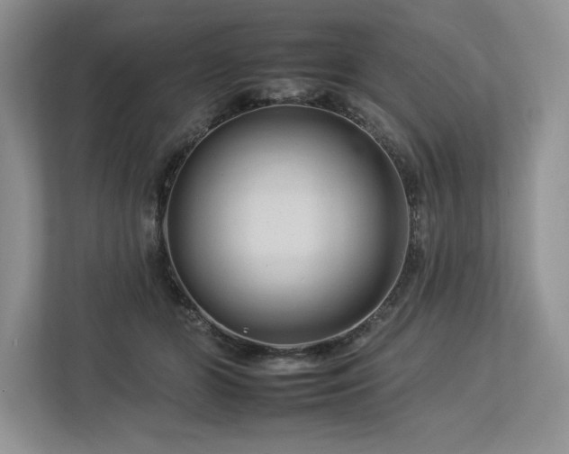 X0000112930510200908241303