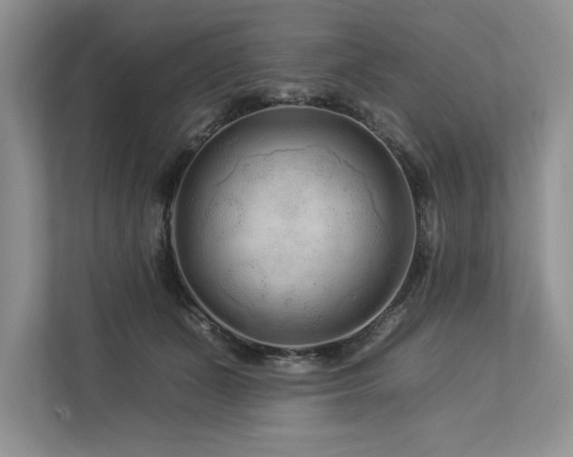 X0000112930511200908241303