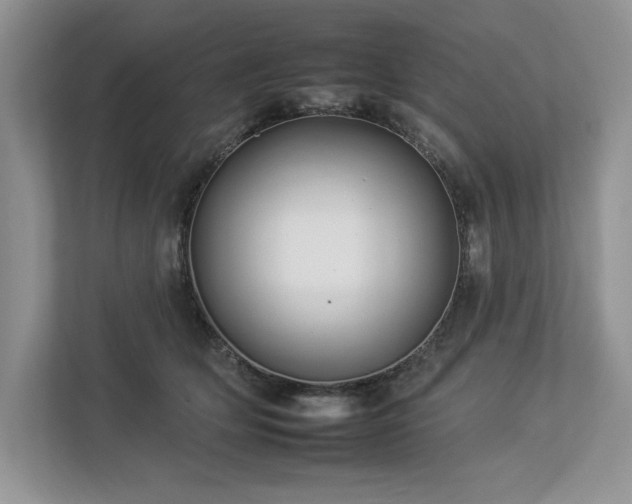 X0000112930514200908241303