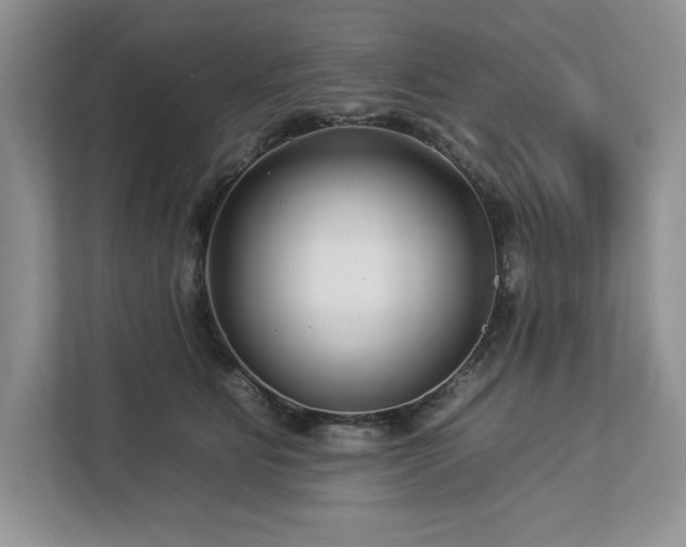 X0000112930515200908241303